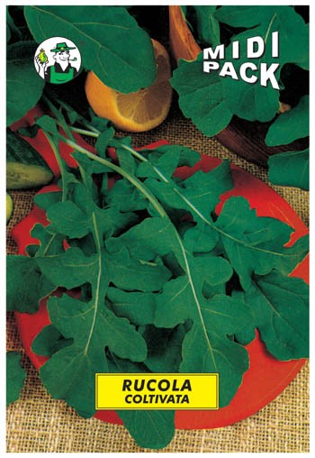 RUCOLA COLTIVATA