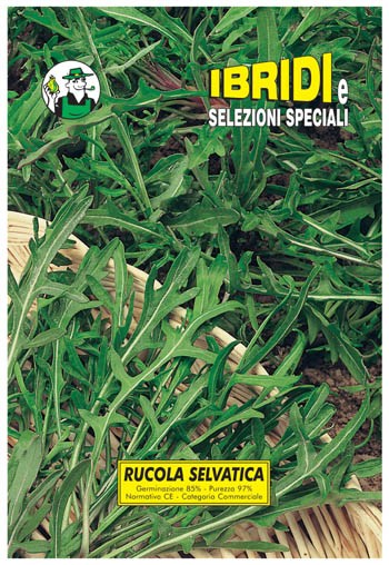 RUCOLA SELVATICA