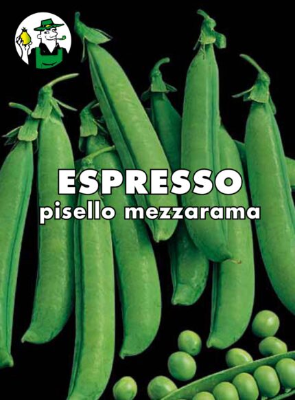 PISELLO MEZZARAMA ESPRESSO