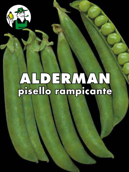 PISELLO RAMPICANTE ALDERMAN