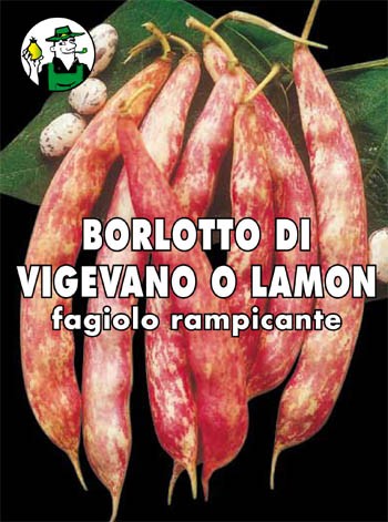 BORLOTTO DI VIGEVANO O LAMON