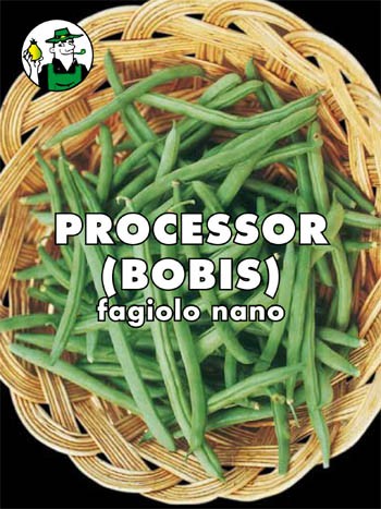 FAGIOLO PROCESSOR (BOBIS)