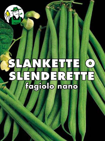 FAGIOLO SLANKETTE O SLENDERETTE