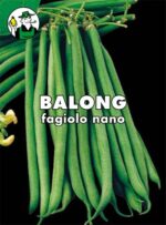 FAGIOLO BALONG