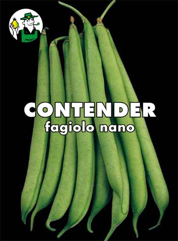 FAGIOLO CONTENDER