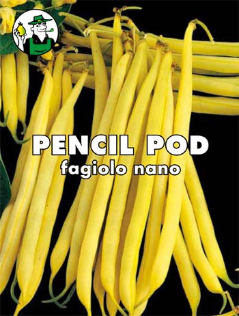 FAGIOLO PENCIL POD