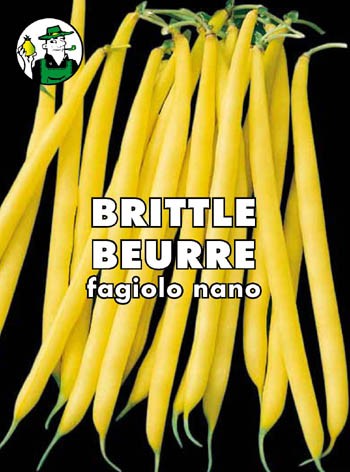 FAGIOLO BRITTLE BEURRE