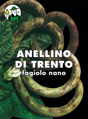 FAGIOLO ANELLINO DI TRENTO