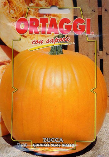 ZUCCA QUINTALE HALLOWEN