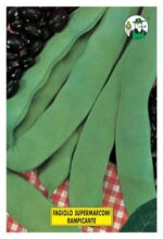 SUPERMARCONI SEME NERO/BIANCO