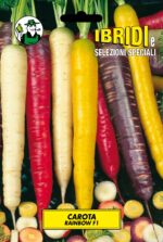 CAROTA RAINBOW F1
