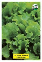 LATTUGA BIONDA RICCIOLINA