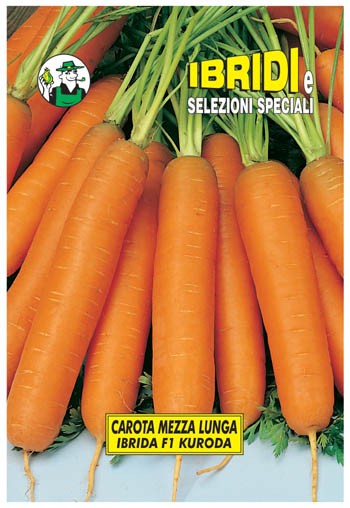 CAROTA KURODA F1