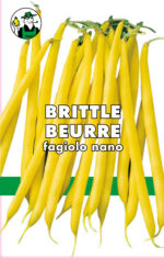 FAGIOLO BRITTLE BEURRE