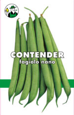 FAGIOLO CONTENDER