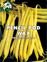 FAGIOLO PENCIL POD