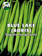 FAGIOLO BLUE LAKE (BOBIS)