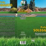 TAPPETO ERBOSO SOLEGGIATO