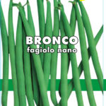 FAGIOLO NANO MANGIATUTTO BRONCO
