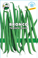FAGIOLO NANO MANGIATUTTO BRONCO