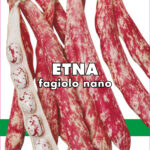 FAGIOLO BORLOTTO NANO ETNA