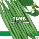 FAGIOLO NANO MANGIATUTTO TEMA