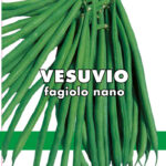 FAGIOLO NANO MANGIATUTTO VESUVIO